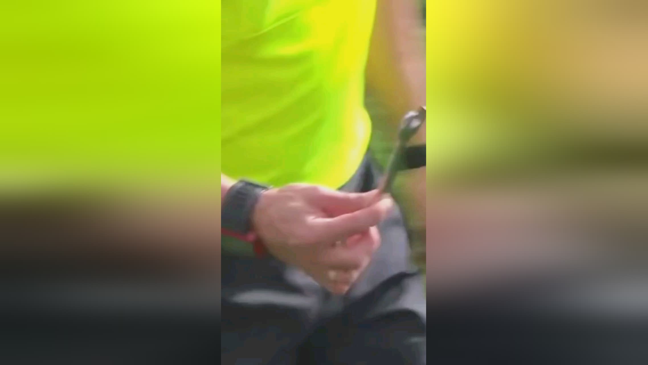 对比不仅显