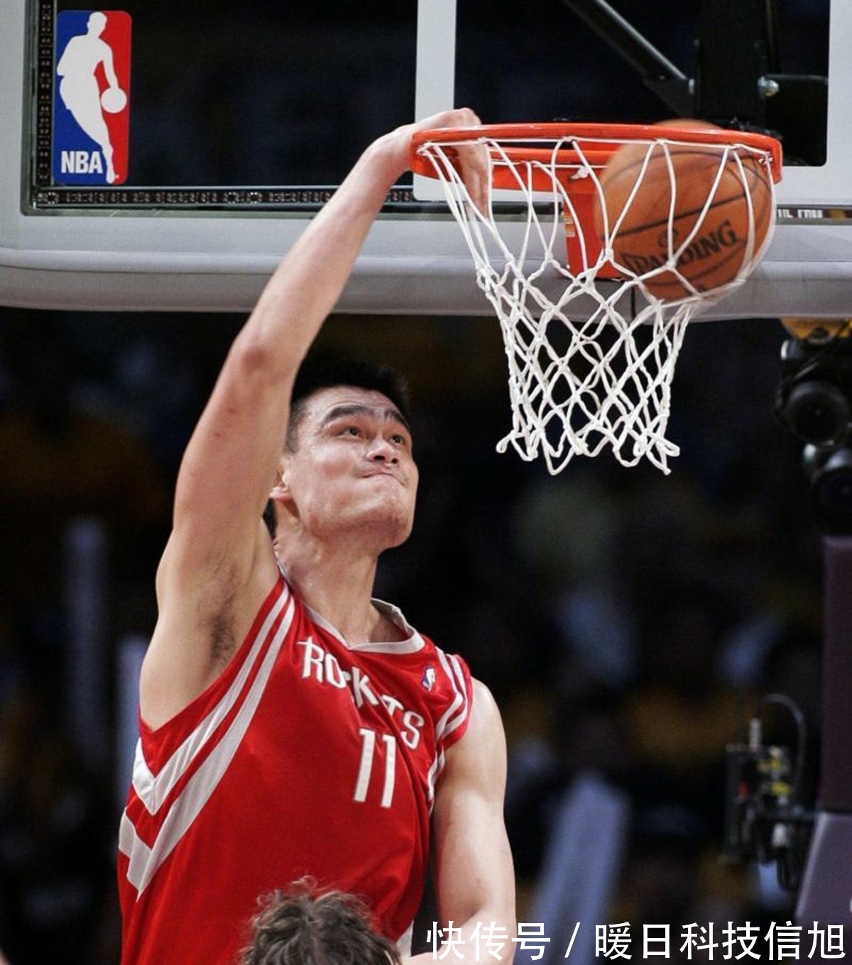 队的16强 队的16强